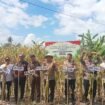 Kapolres Lutim AKBP Zulkarnain melakukan panenan raya jagung kuartal II di Kecamatan Wotu, Kamis, (05/06/25)