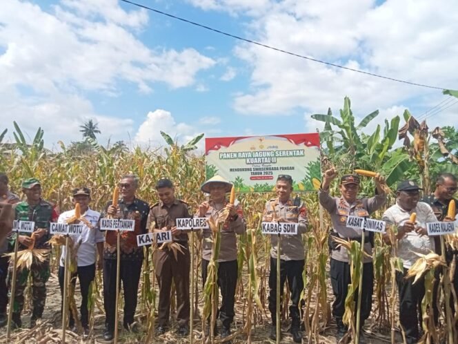 
					Kapolres Lutim AKBP Zulkarnain melakukan panenan raya jagung kuartal II di Kecamatan Wotu, Kamis, (05/06/25)
