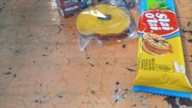 Snack yang didapatkan siswa-siswi SDN 238 Mallaulu, 4-5 Juni 2025