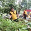 Kapolres Lutim AKBP Zulkarnain membabat rumput liar di TPU, Kelurahan Malili, Jumat (20/06/25). 