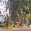 Suasana sekitar toko campuran yang dibobol maling, Senin, (09/06/25).