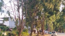 Suasana sekitar toko campuran yang dibobol maling, Senin, (09/06/25).
