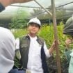 Menhut RI Raja Juli Antoni mengunjungi Nursery PT Vale Indonesia, Jum'at, (13/06/25). 
