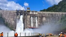 PLTA Balambano, dan mengoperasikannya sejak 1999. PLTA ini memiliki dua turbin dengan produksi daya
listrik sebesar 110 MW.