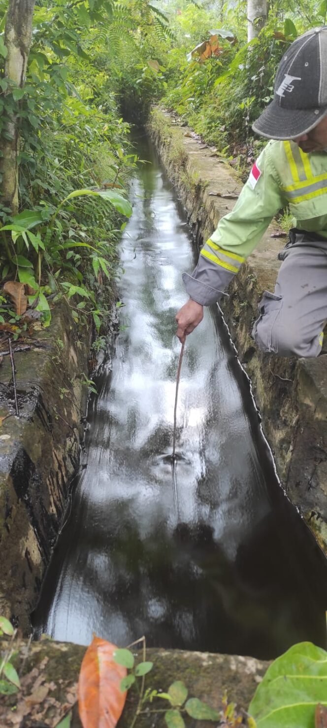 
					Breaking News : Pipa Minyak PT Vale Bocor, Sawah Hingga Sumber Mata Air Tercemar 