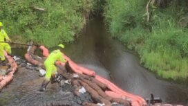 Petugas berupaya mencegah penyebaran minyak ke hilir sungai Koromosilu, Sabtu, (23/08/25)