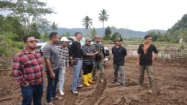 Dewan Adat Padoe dan Pengurus PASITABE mengunjungi areal persawahan terdampak tumpahan minyak PT Vale, didampingi staff External PT Vale, Minggu (24/08/25)