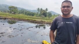 Ketua Komisariat Pasitabe Towuti, Arryos berada di sawah terdampak kebocoran pipa minyak. 