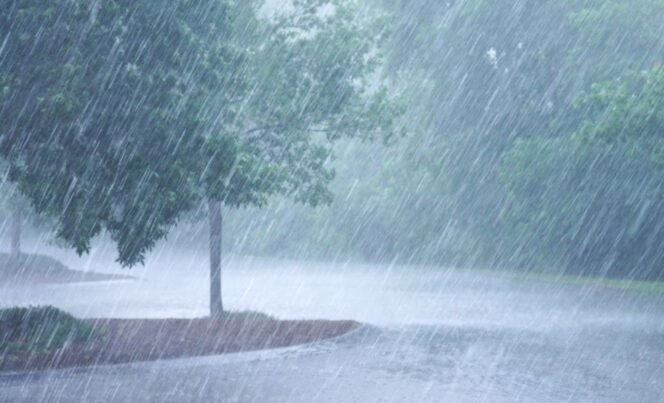 
					Prediksi BMKG, Luwu Raya Hujan Ringan Hari Ini