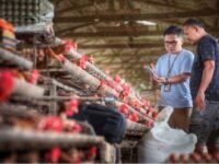 Ilustrasi Indeks Bisnis UMKM BRI triwulan II 2026