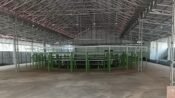 Polda Jateng Bantah Viralnya Arena Sabung Ayam di Alas Roban Batang