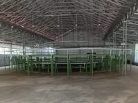 Polda Jateng Bantah Viralnya Arena Sabung Ayam di Alas Roban Batang