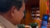 Prabowo Sambut Hangat Emas Asian Games Rahmat Erwin Lewat Video Call dari Hambalang