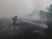 Sanksi Tegas Kementerian Kehutanan: Lima Izin Perusahaan di Kalimantan Dicabut Usai Karhutla