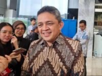 Luky Alfirman, Wakil Menteri Keuangan